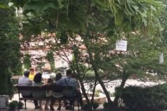 2018.08.19-Klergarden_05