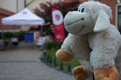 2019.05.18-Dzien-otwarty-Klergarden_045