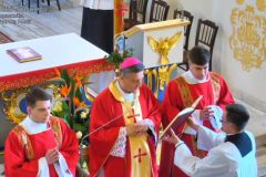 2020.05.08-Swiecenia-diakonatu-Diecezja-Bielsko-Zywiecka_048
