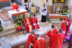 2020.05.08-Swiecenia-diakonatu-Diecezja-Bielsko-Zywiecka_073