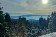 2022.01.08-Wyjscie-na-Turbacz_10