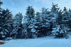 2022.01.08-Wyjscie-na-Turbacz_11