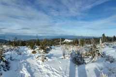 2022.01.08-Wyjscie-na-Turbacz_28