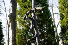2024.03.21-Pielgrzymka-do-Plok04