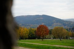 26.10.2024-Wyjazd-do-Kalwarii-Zebrzydowskiej06